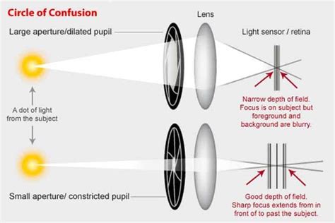 what does the pinhole eye test show|Pinhole Glasses: What They Are and Who They’re Good For.